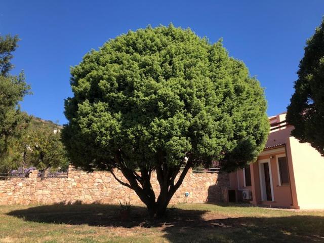 פולה Samurtabianca 1 מראה חיצוני תמונה